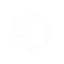 Polkadot
